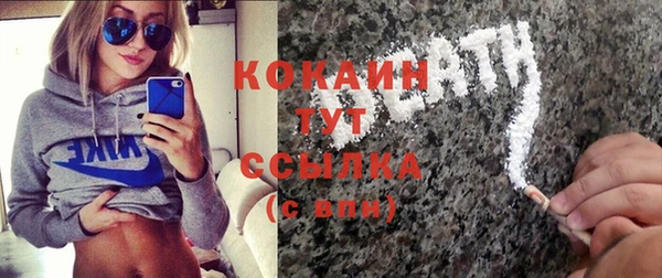 МДПВ Туринск
