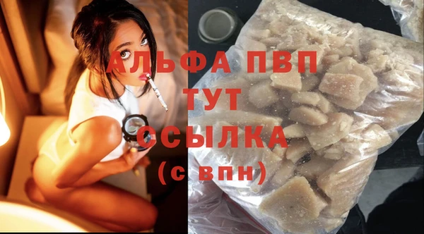 первитин Богданович