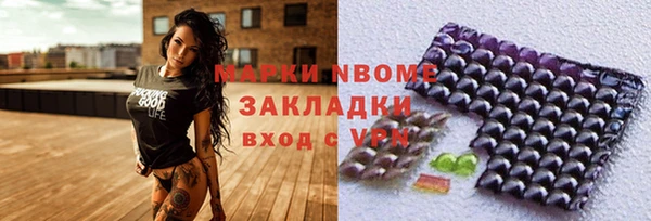spice Богородск